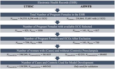AI-based preeclampsia detection and prediction with electrocardiogram data